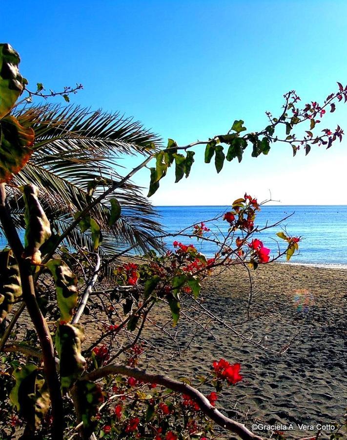 La Palmera. El Amanecer En El Parque Natural Agua Amarga  Dış mekan fotoğraf